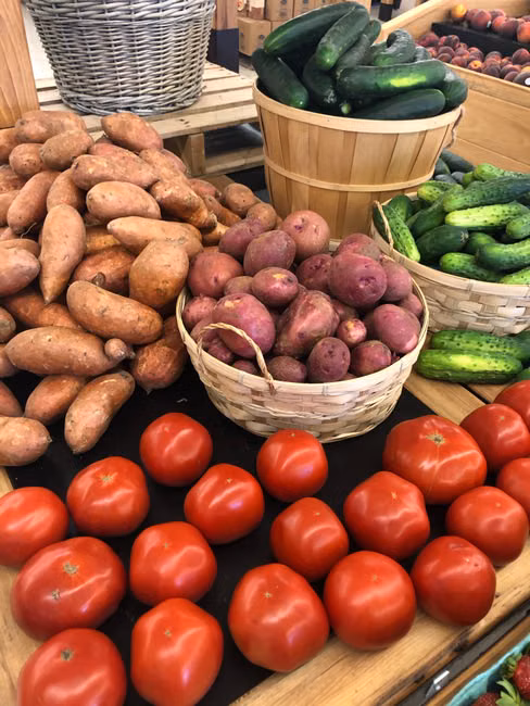 Ração para Cães Adultos (15kg)